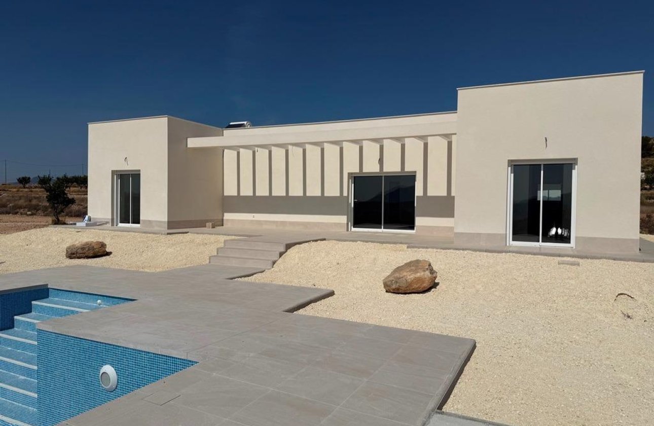 Новое здание - Villa - Pinoso - Camino Del Prado
