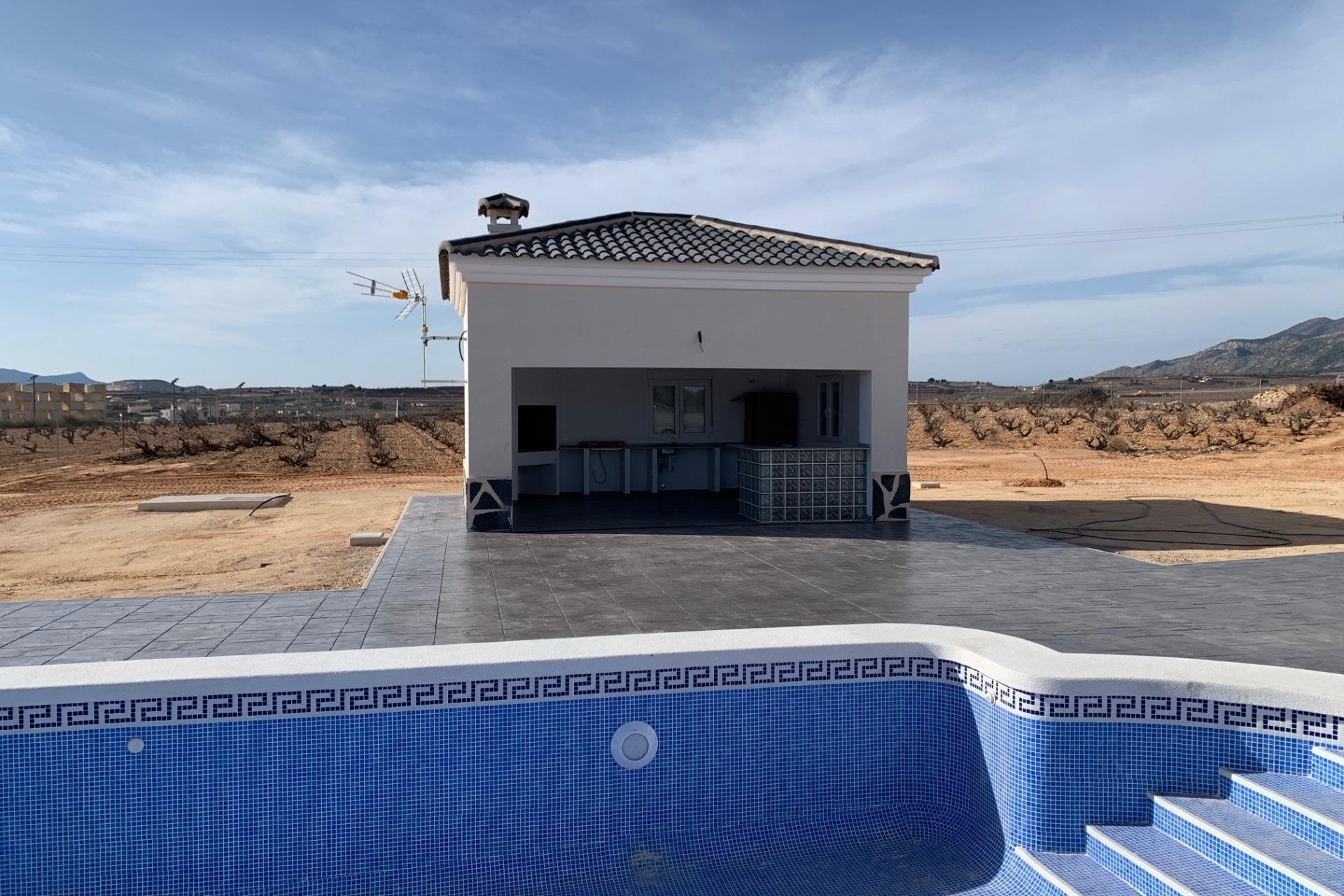 Новое здание - Villa - Pinoso - Camino Del Prado