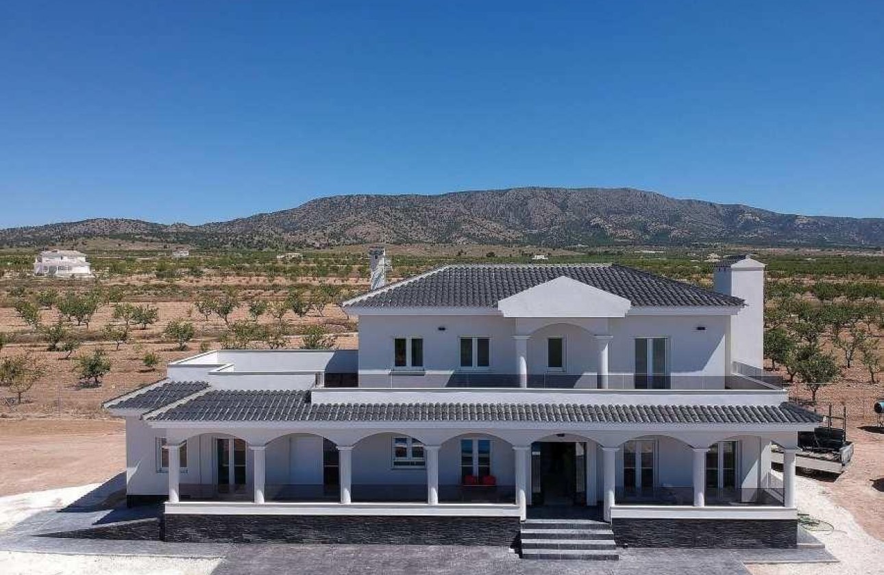 Новое здание - Villa - Pinoso - Camino Del Prado