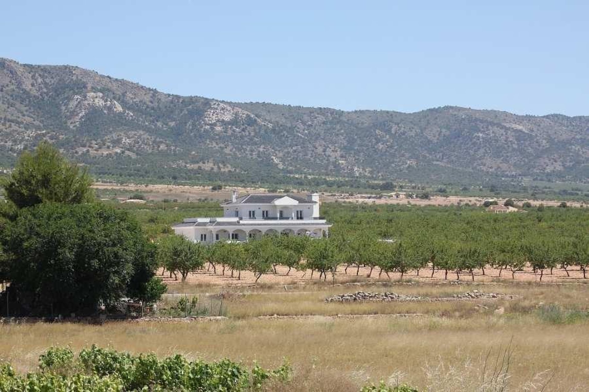 Новое здание - Villa - Pinoso - Camino Del Prado