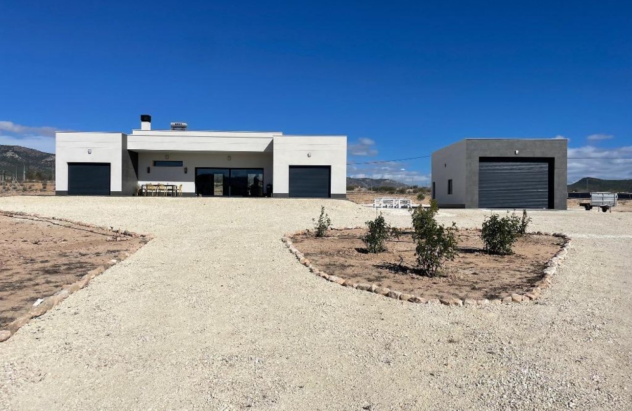 Новое здание - Villa - Pinoso - Camino Del Prado