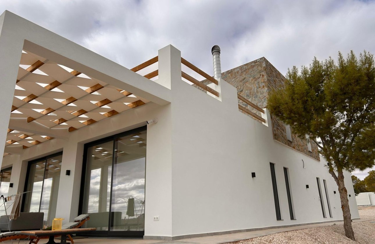 Новое здание - Villa - Pinoso - Casas Pastor