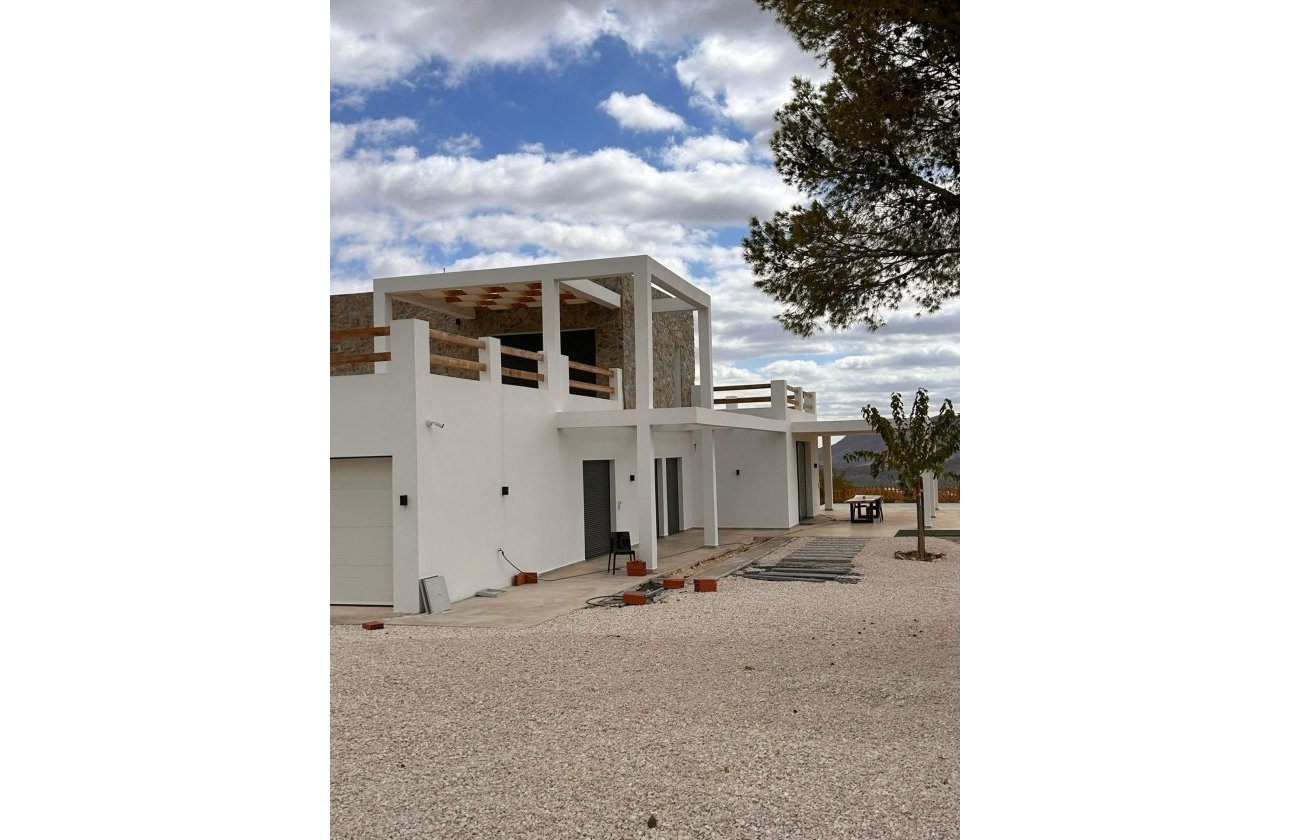 Новое здание - Villa - Pinoso - Casas Pastor