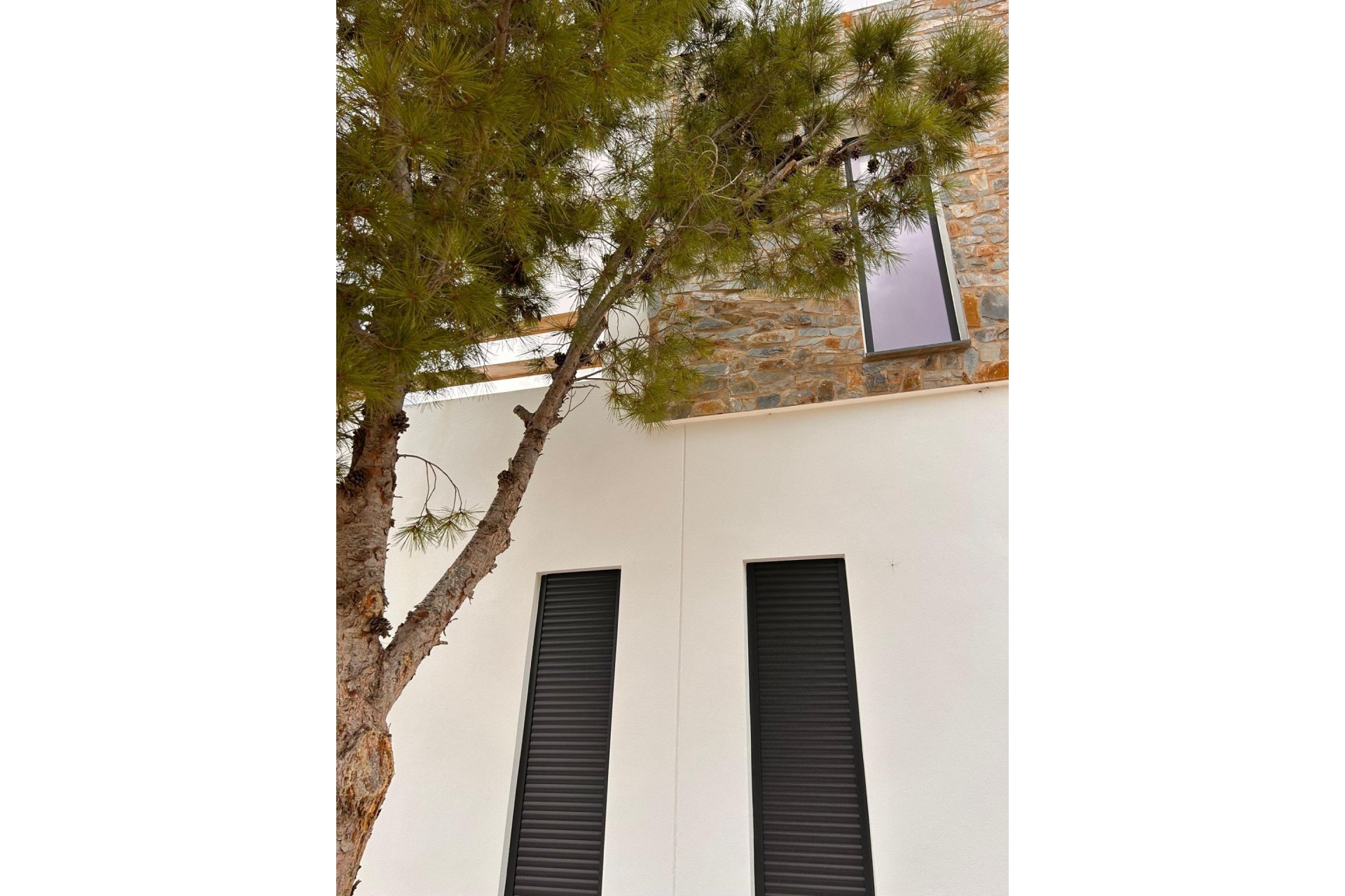 Новое здание - Villa - Pinoso - Casas Pastor