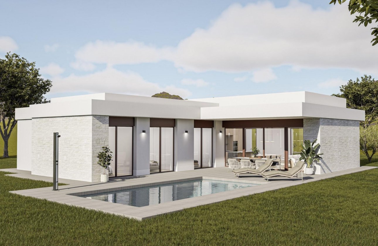 Новое здание - Villa - Pinoso - Lel