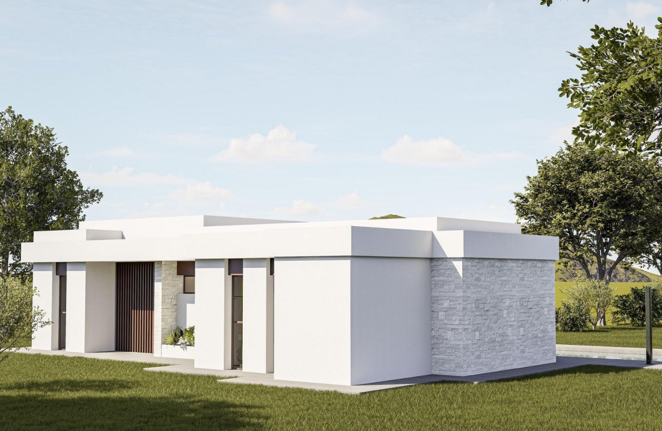 Новое здание - Villa - Pinoso - Lel
