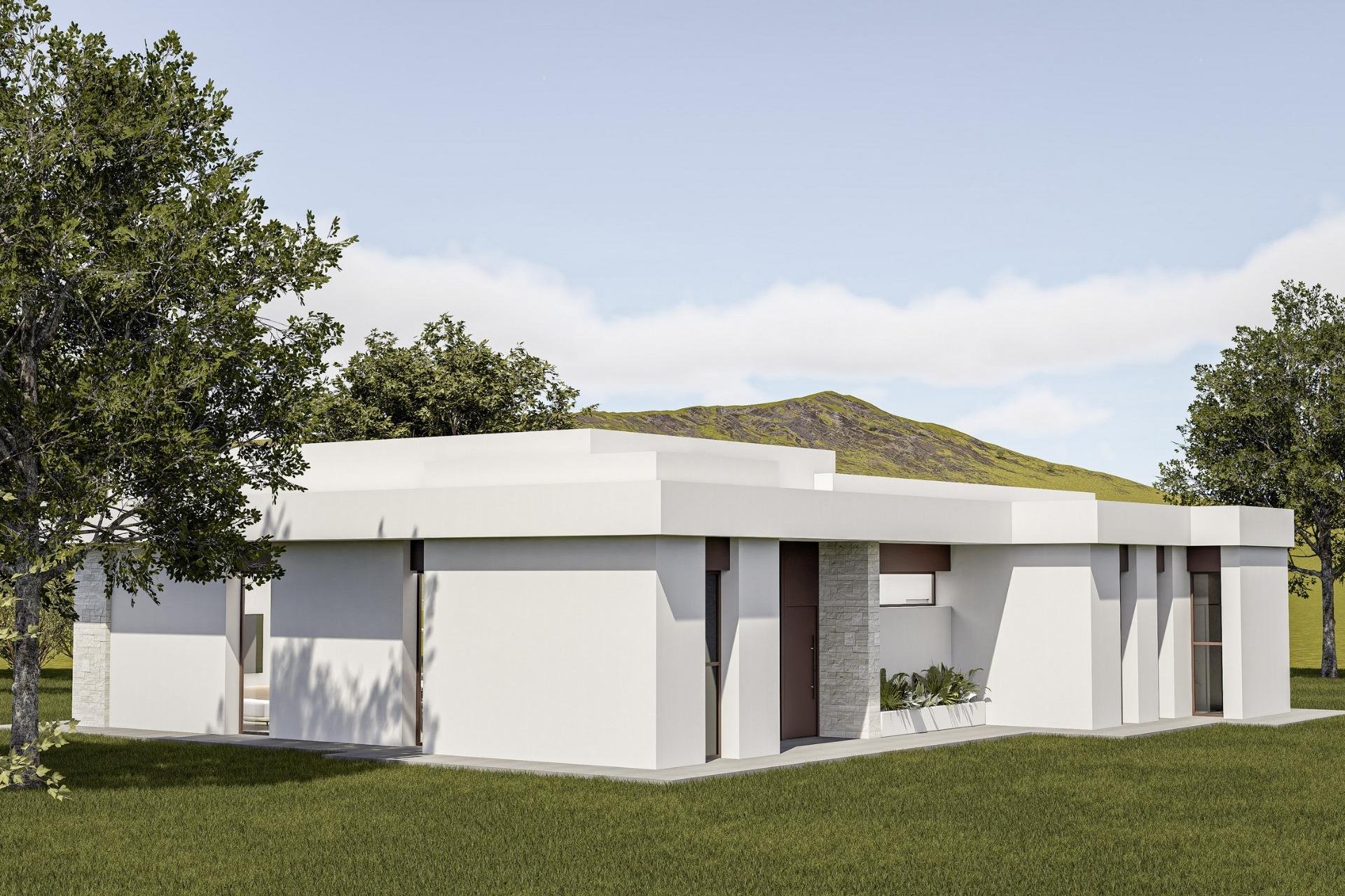 Новое здание - Villa - Pinoso - Lel