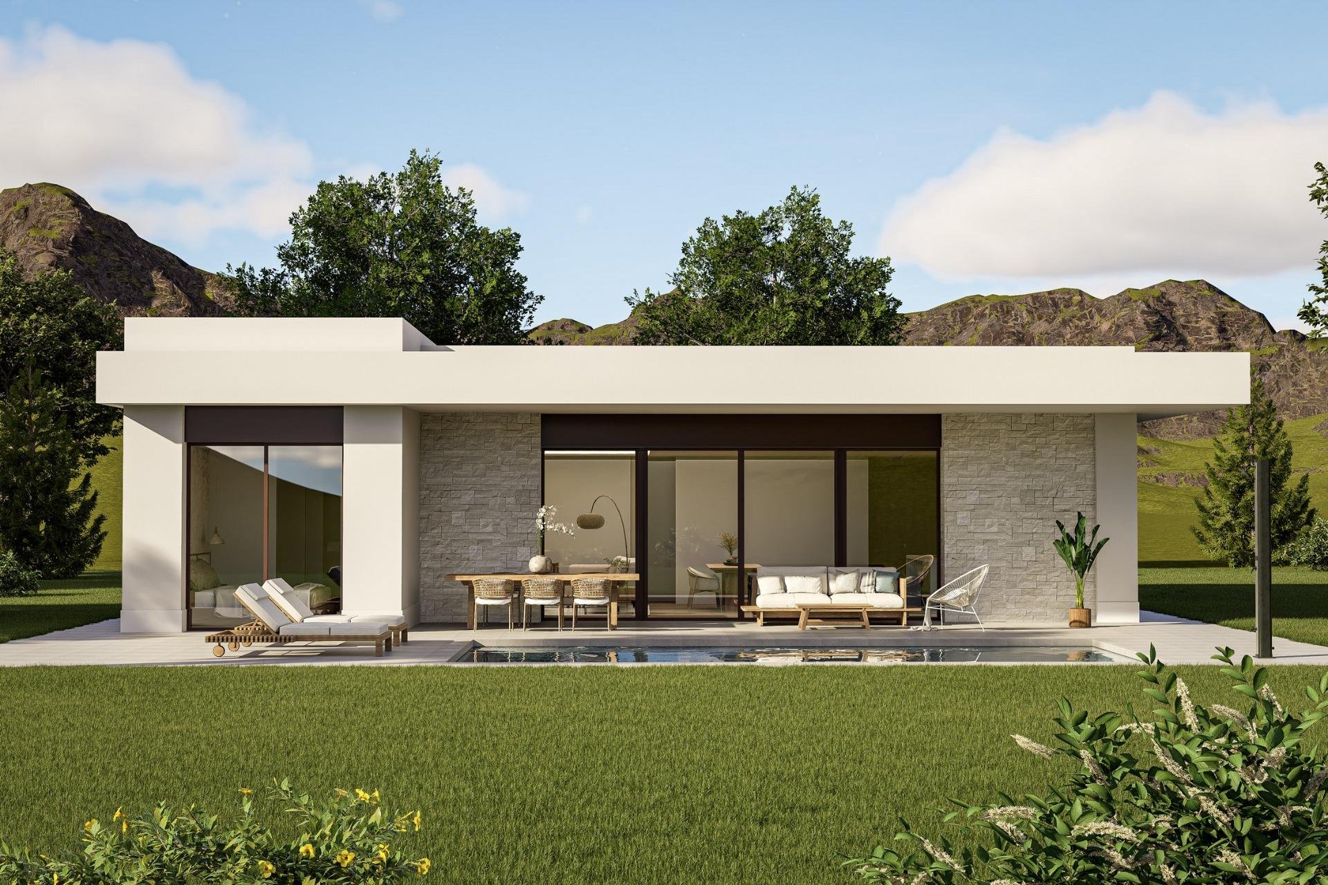 Новое здание - Villa - Pinoso - Lel