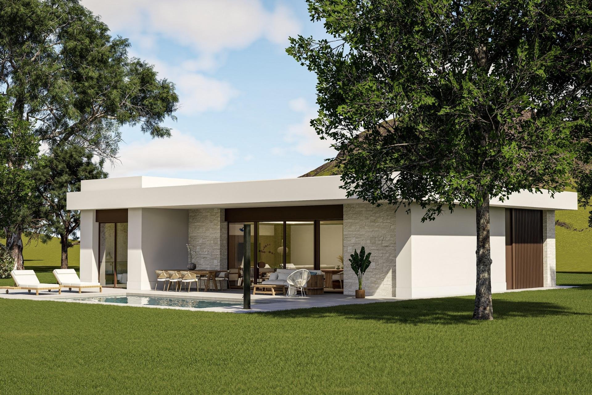 Новое здание - Villa - Pinoso - Lel