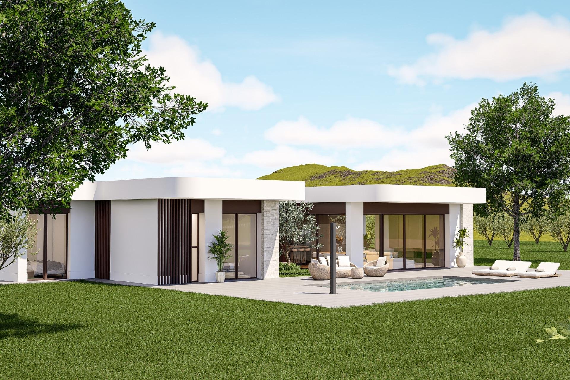 Новое здание - Villa - Pinoso - Lel