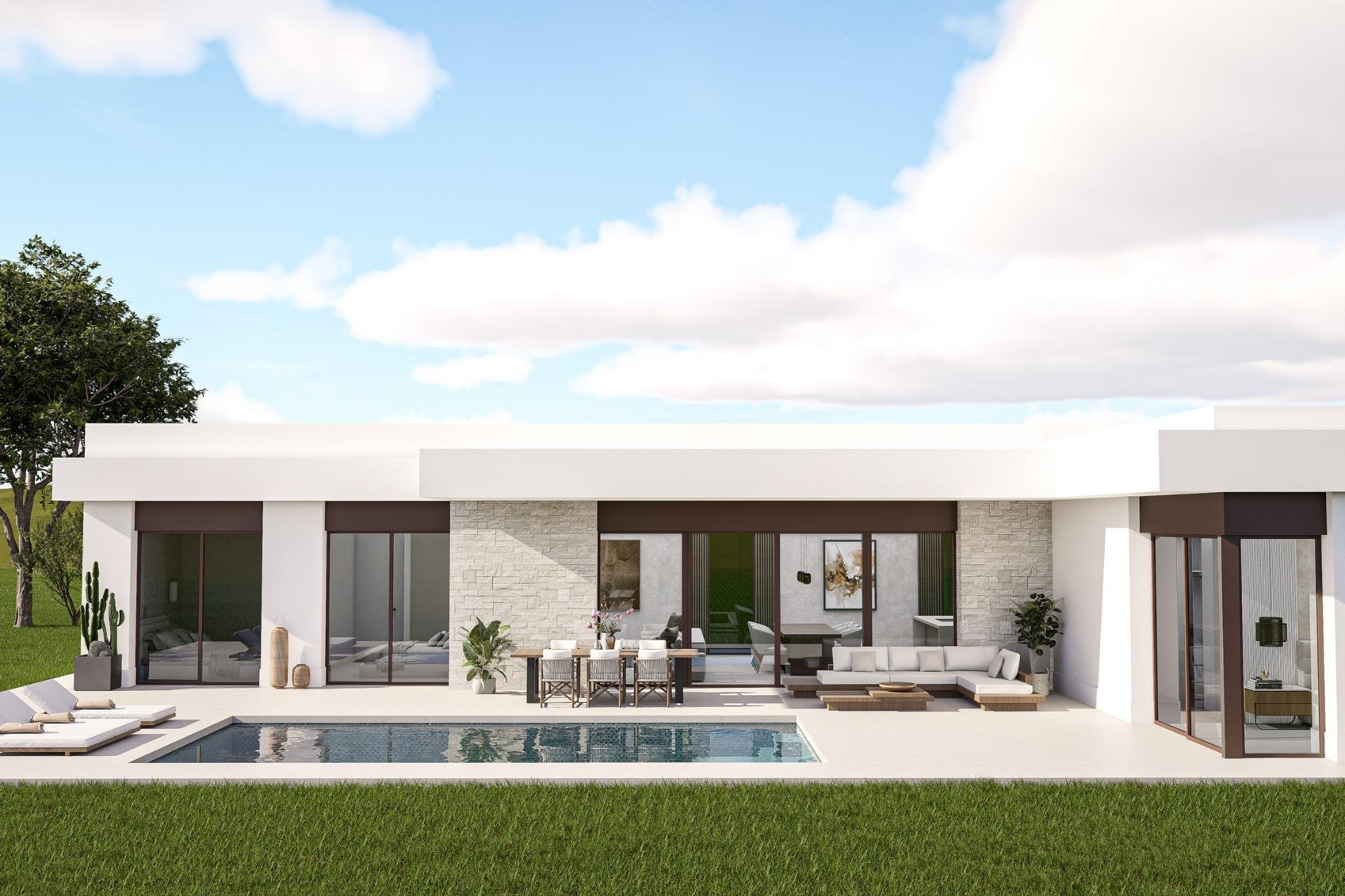 Новое здание - Villa - Pinoso - Lel