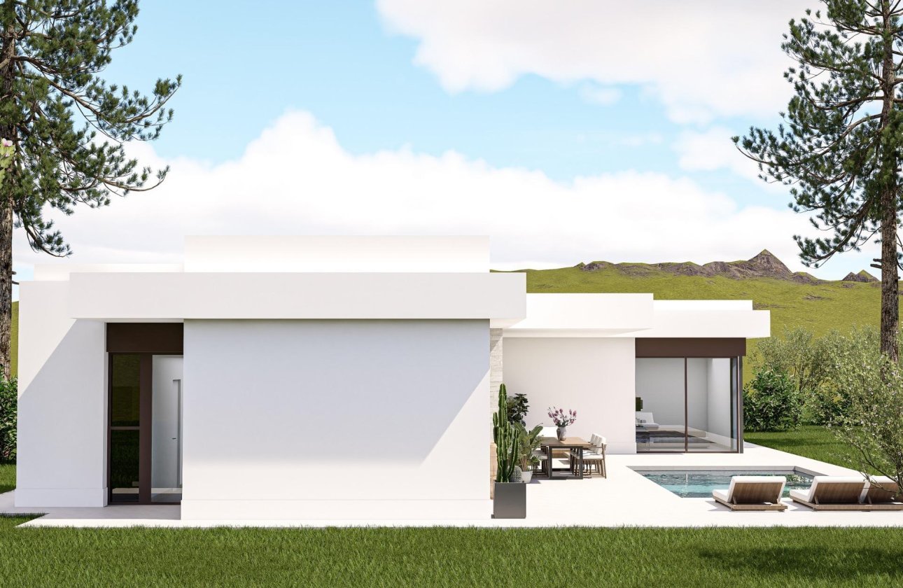 Новое здание - Villa - Pinoso - Lel