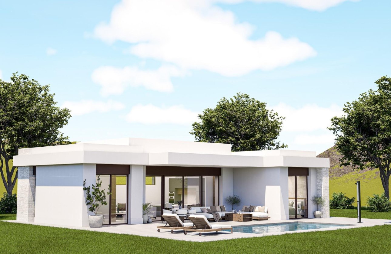 Новое здание - Villa - Pinoso - Lel