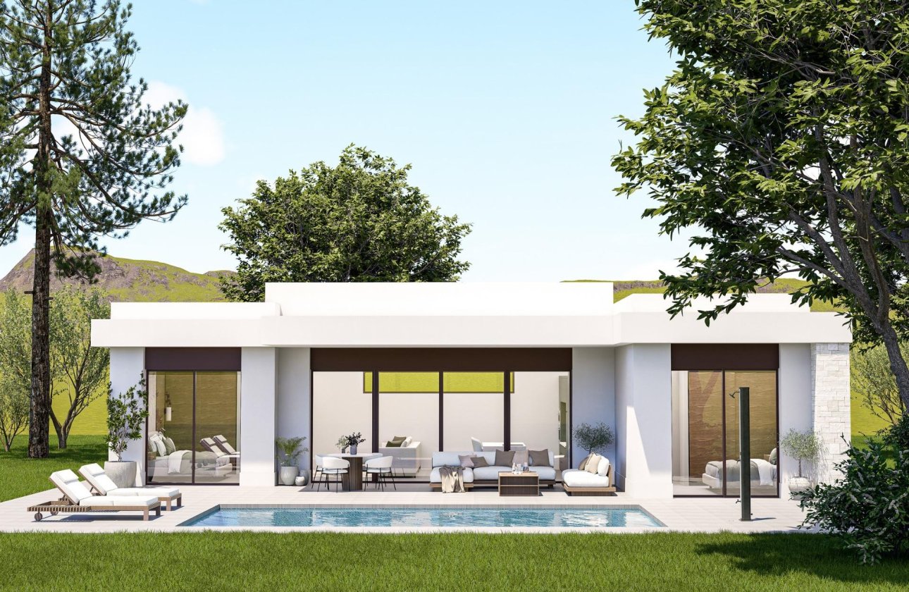 Новое здание - Villa - Pinoso - Lel