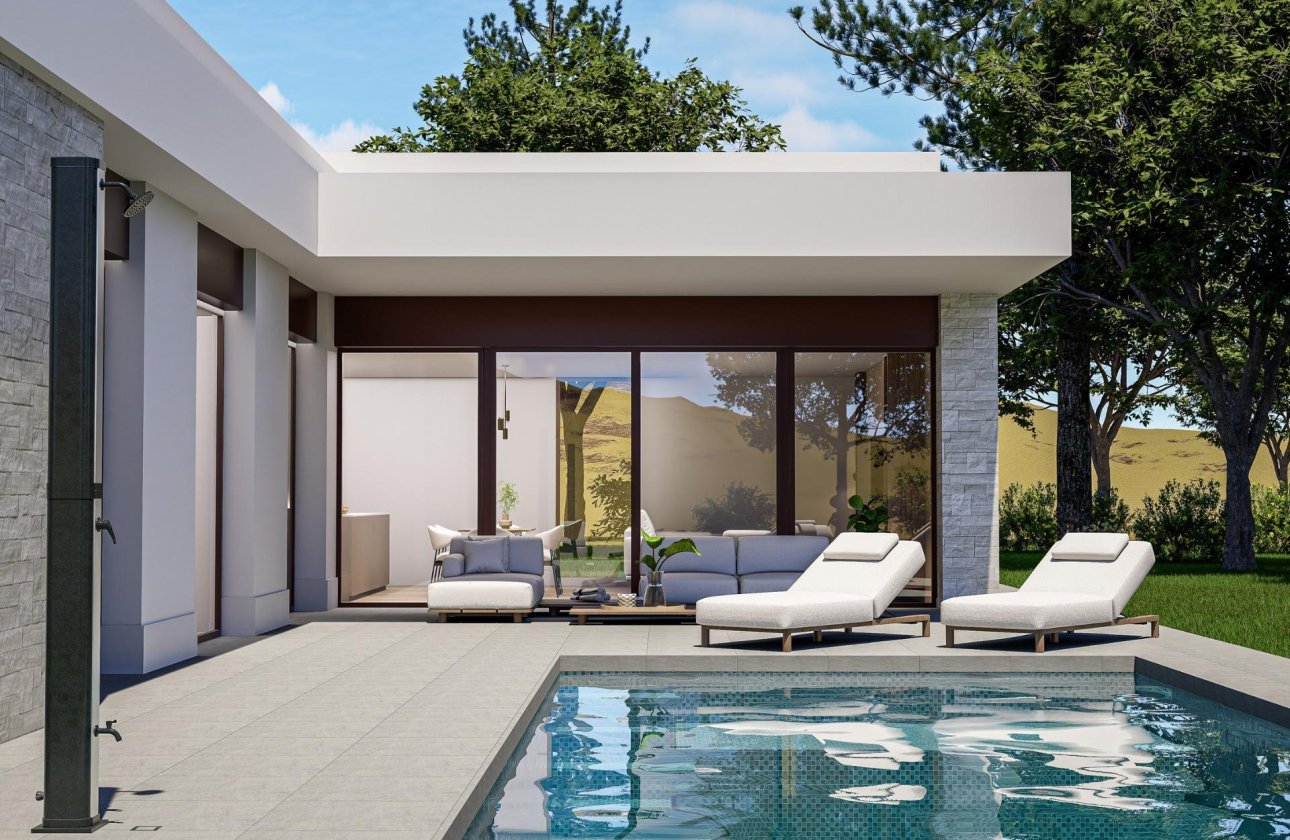 Новое здание - Villa - Pinoso - Lel