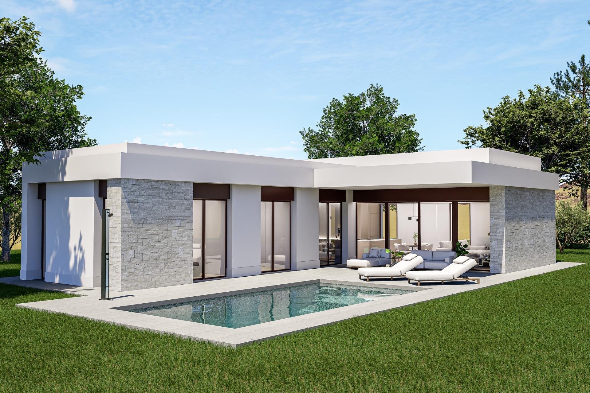Новое здание - Villa - Pinoso - Lel