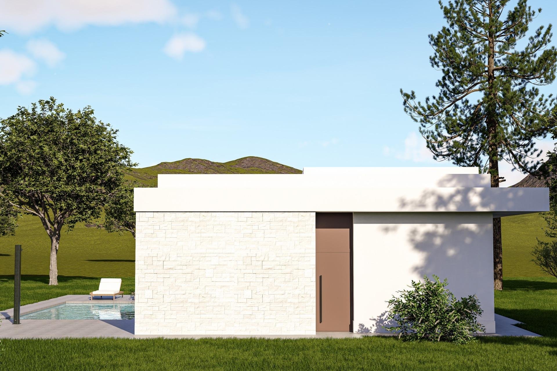 Новое здание - Villa - Pinoso - Lel