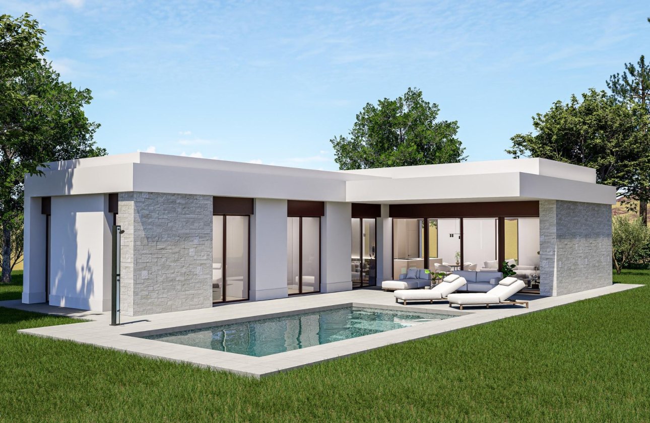 Новое здание - Villa - Pinoso - Lel