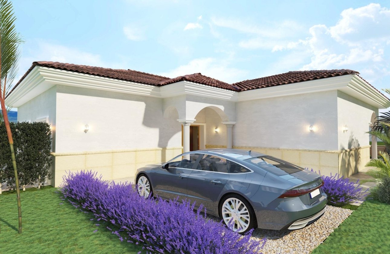 Новое здание - Villa - Pinoso - Rodriguillo