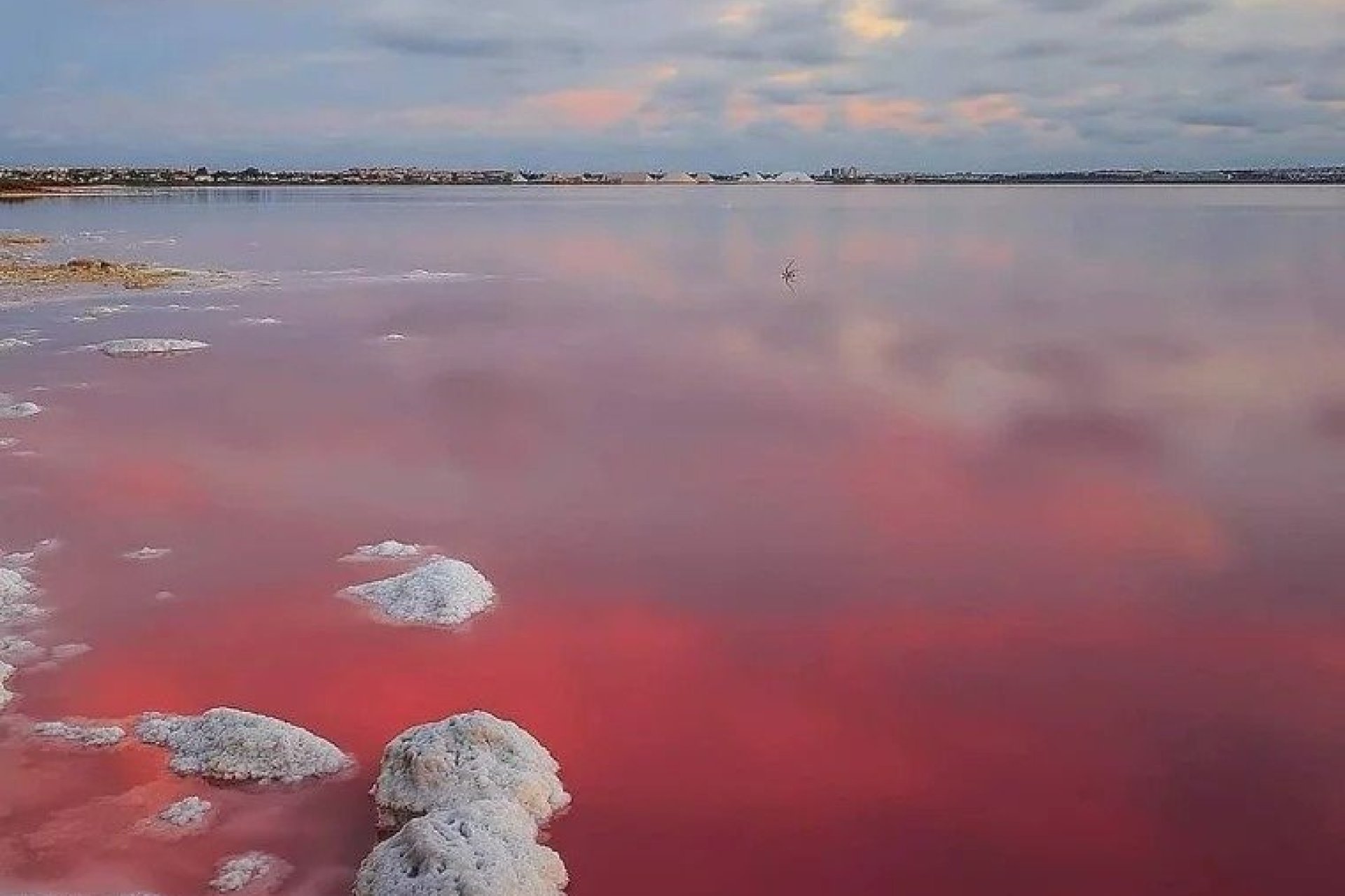Новое здание - Villa - Torrevieja - Lago Jardín II
