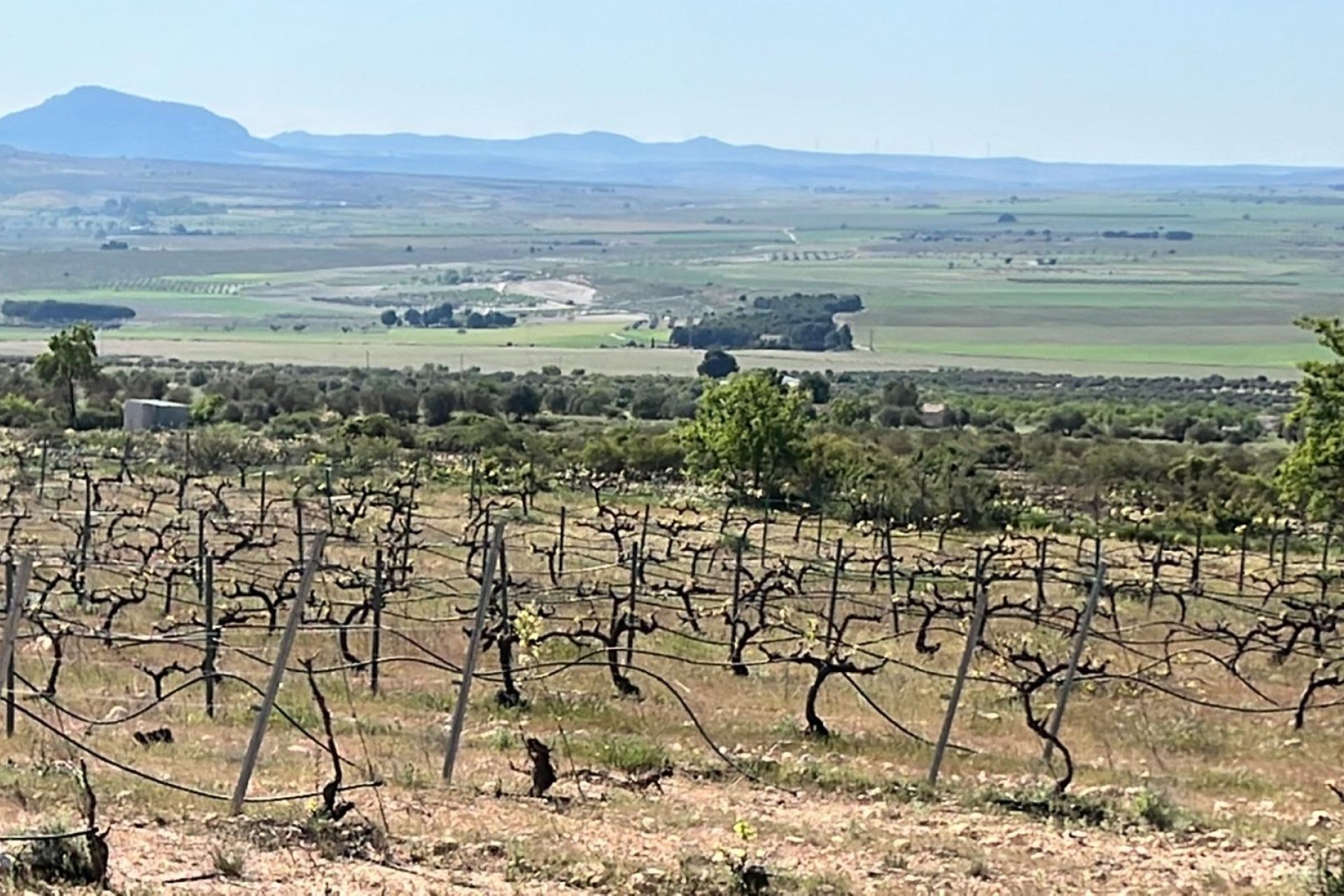 Новое здание - Villa - Yecla