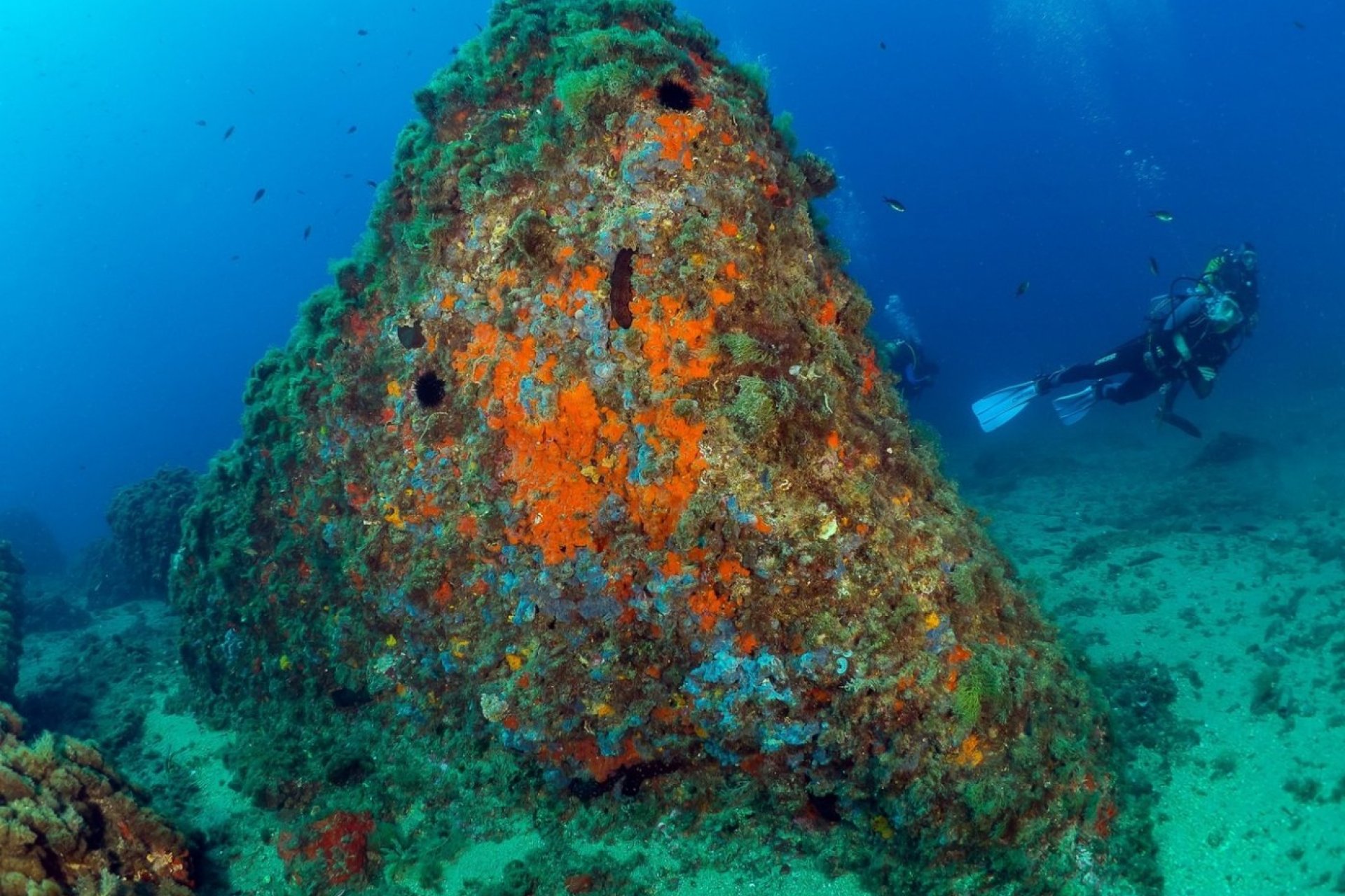 Obra nueva - Apartamento  - Aguilas - Isla Del Fraile
