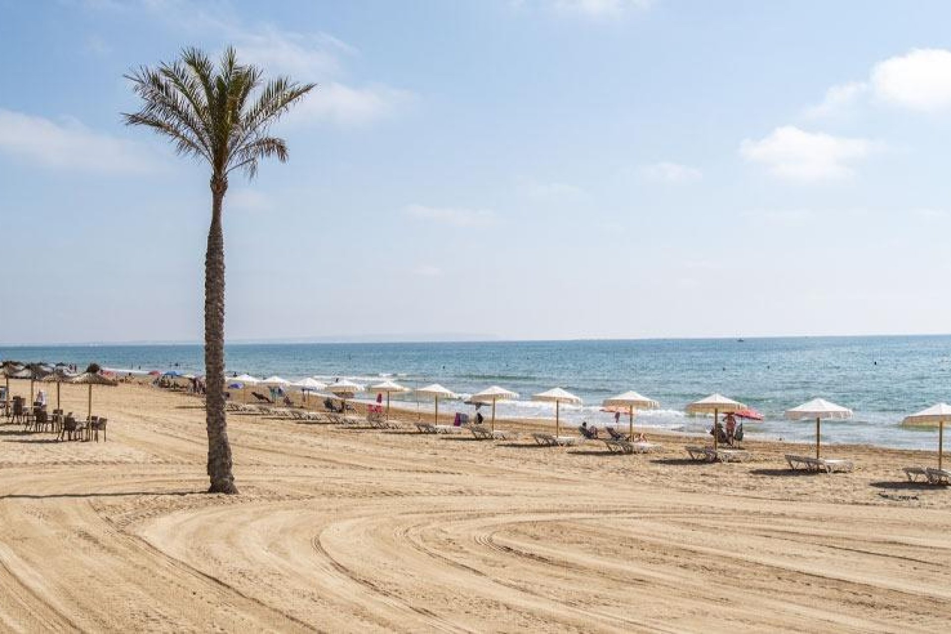 Obra nueva - Apartamento  - Guardamar del Segura - Pueblo