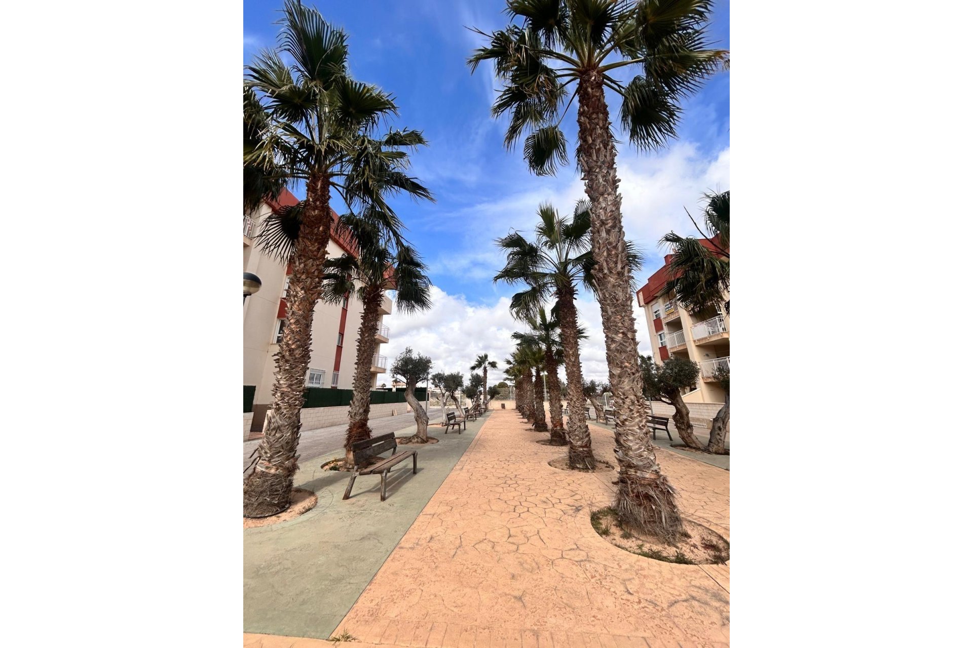 Obra nueva - Apartamento  - Orihuela Costa