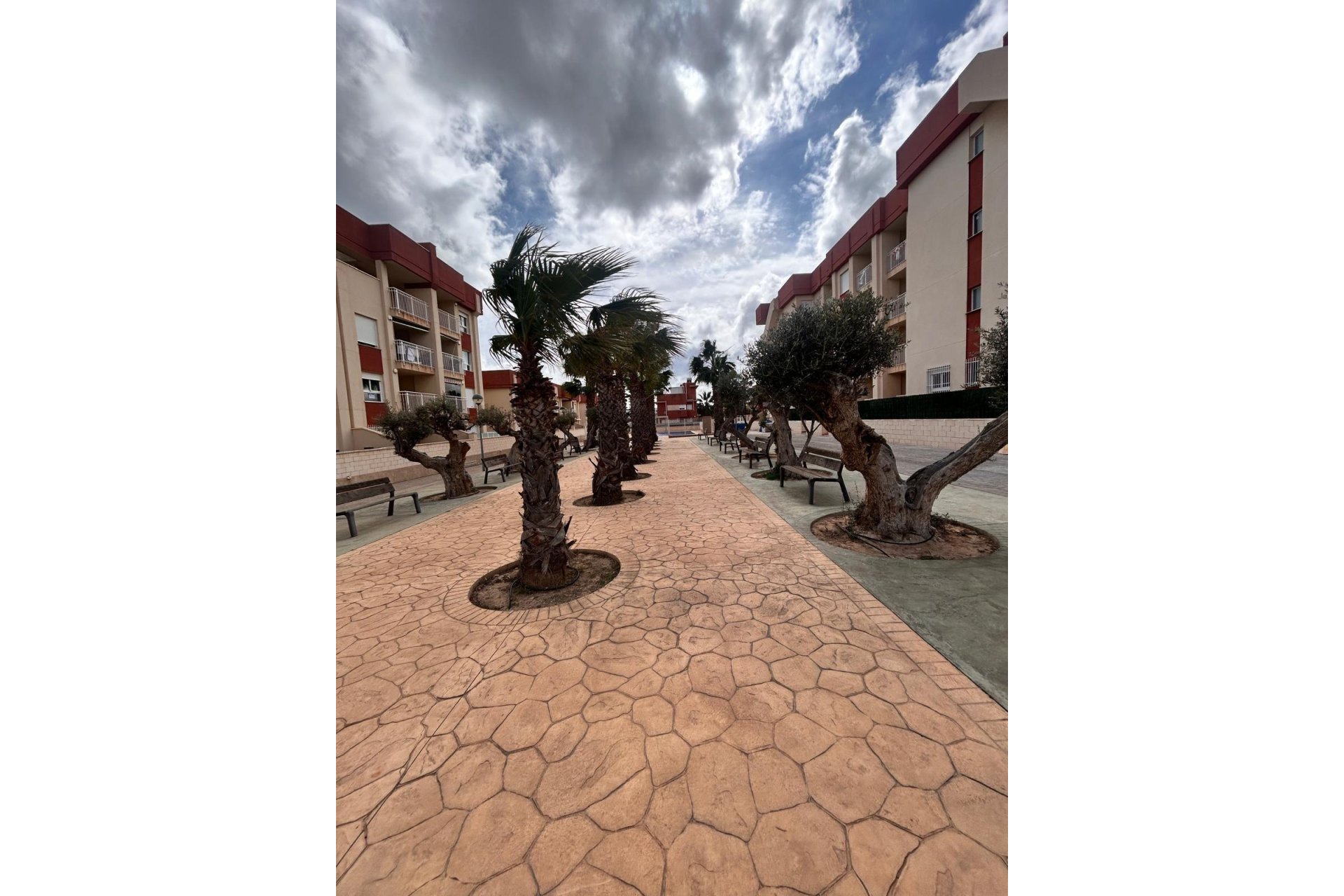 Obra nueva - Apartamento  - Orihuela Costa