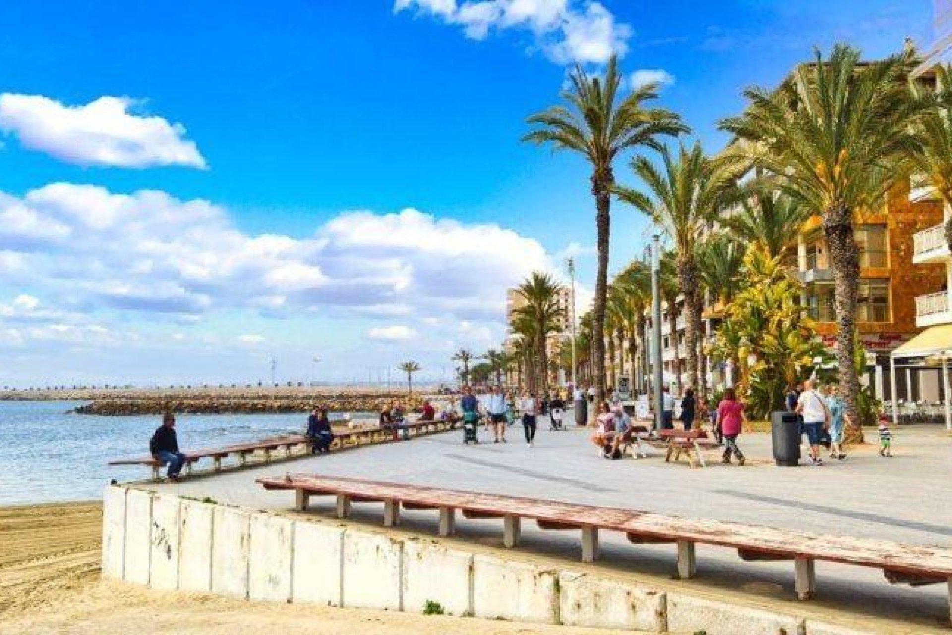Obra nueva - Apartamento  - Torrevieja - Habaneras