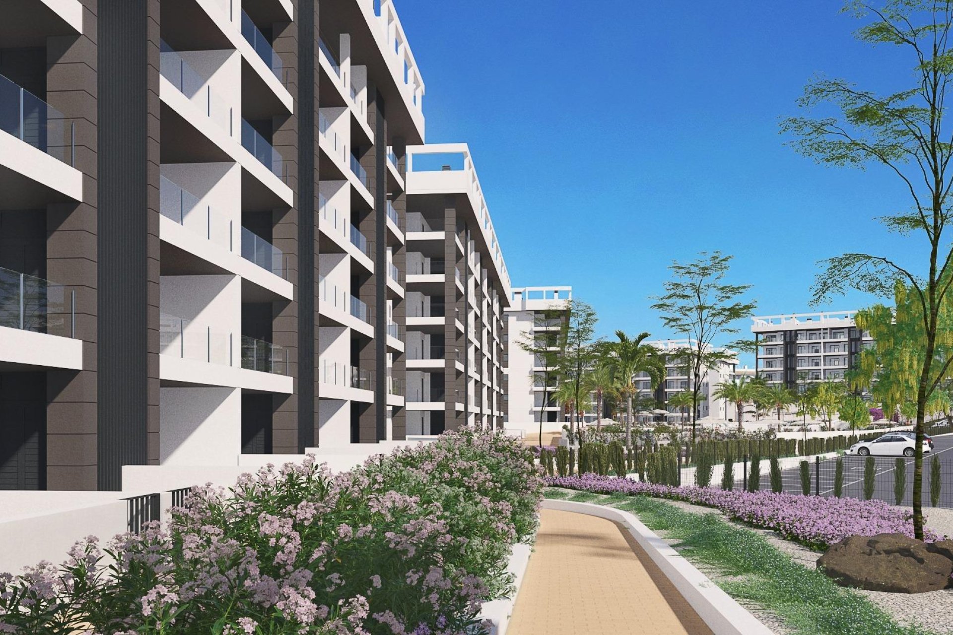Obra nueva - Apartamento  - Torrevieja