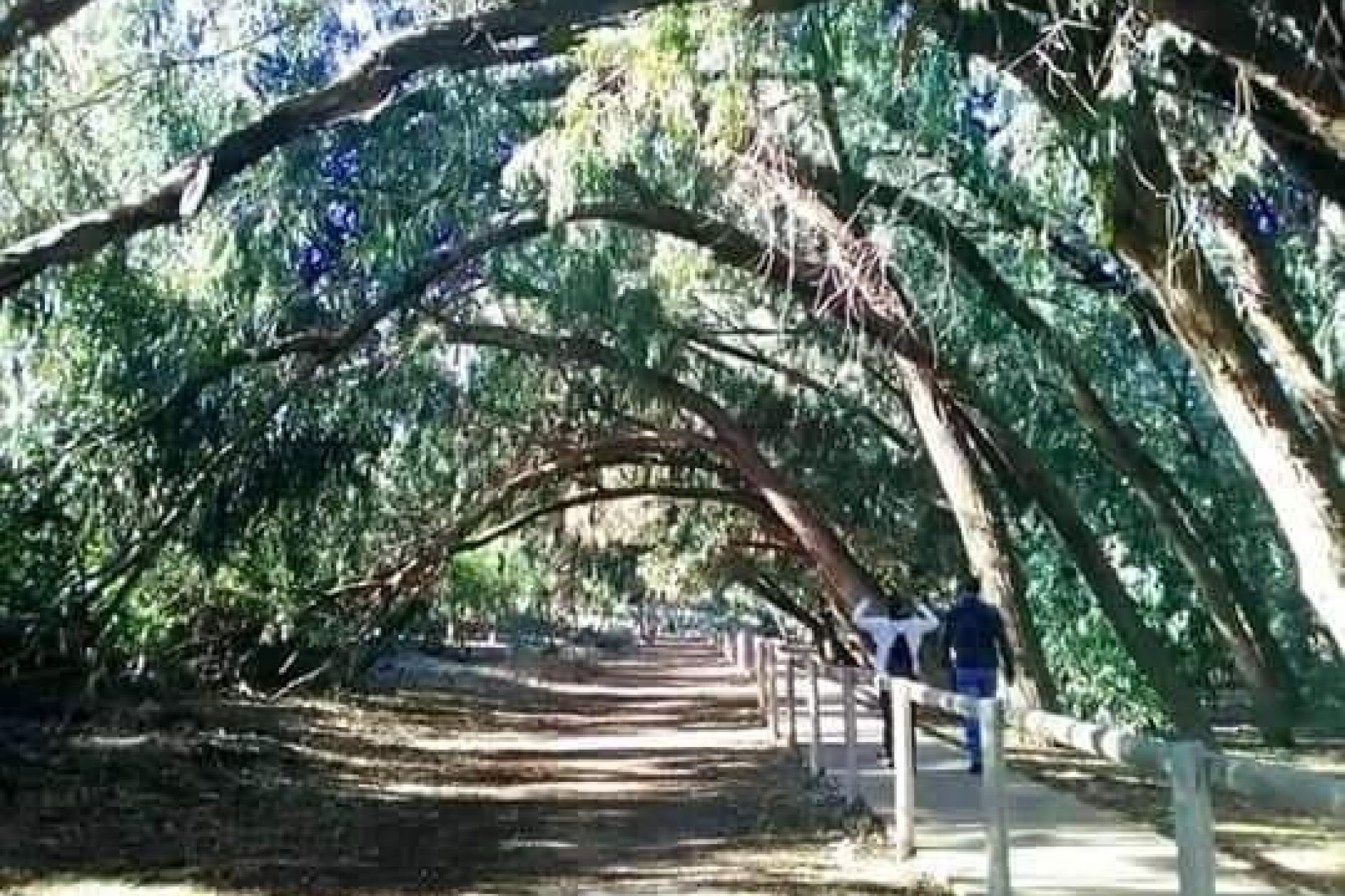 Obra nueva - Apartamento  - Torrevieja