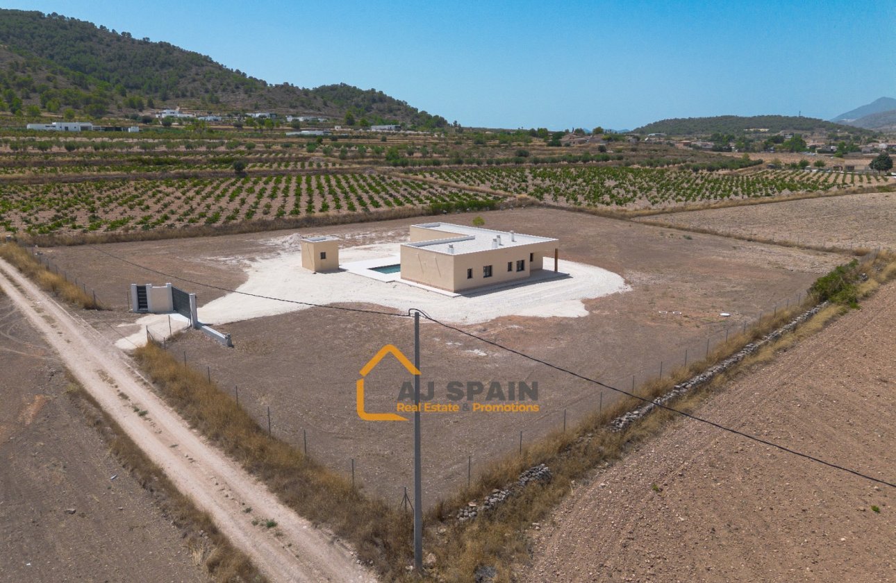 Obra nueva - Villa - Abanilla