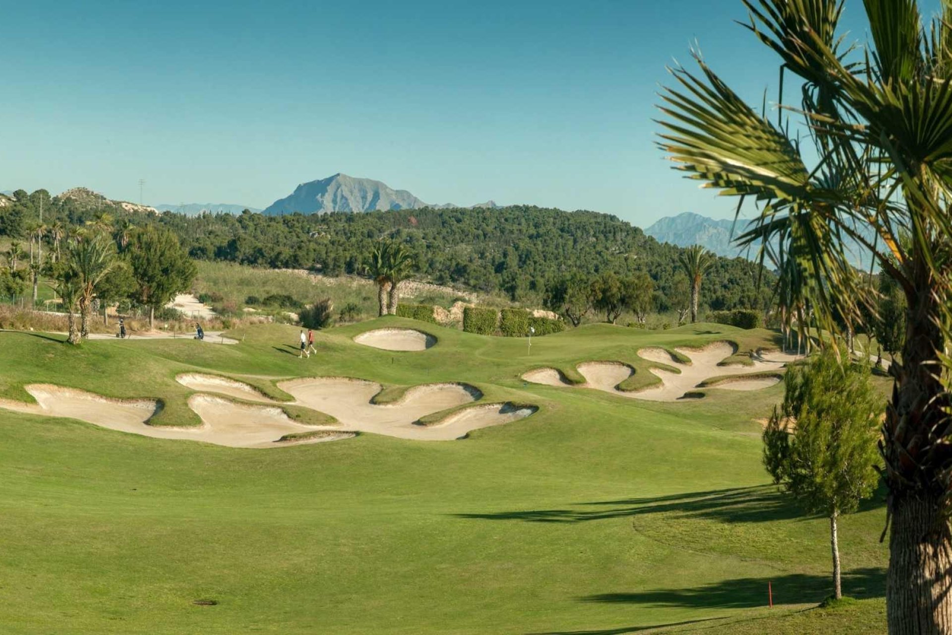 Obra nueva - Villa Adosada - Orihuela - Vistabella Golf