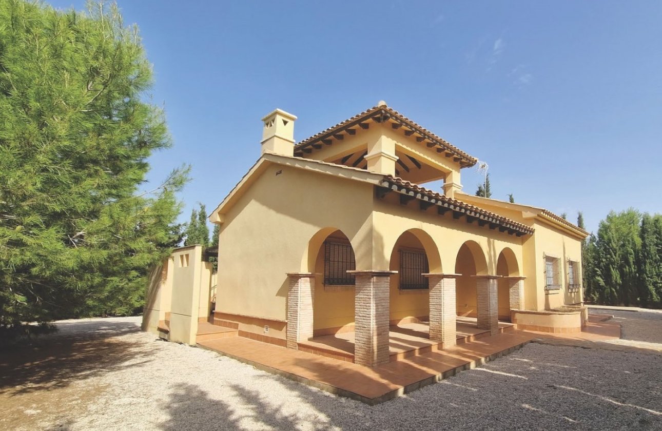 Obra nueva - Villa - Fuente Álamo