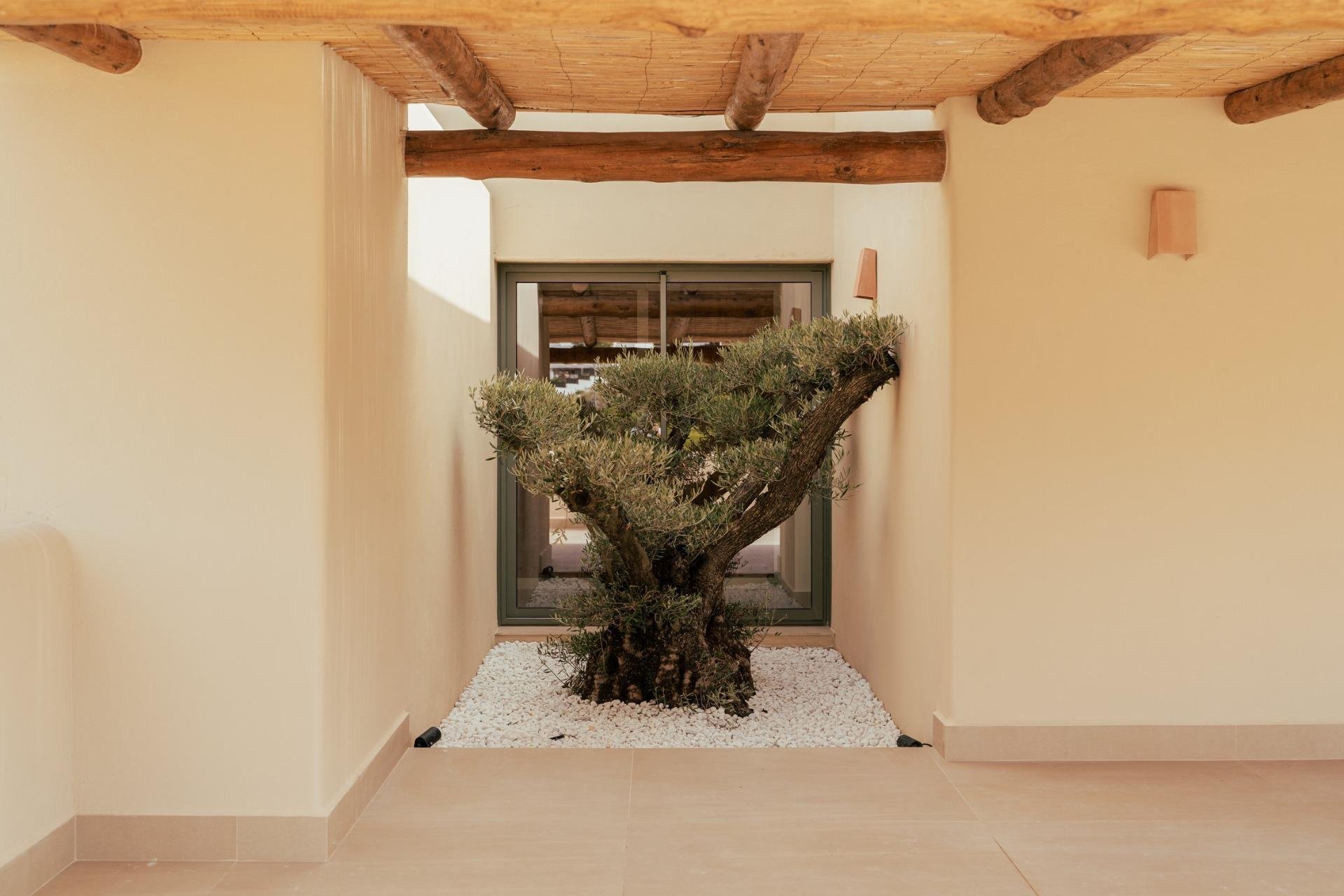 Obra nueva - Villa - Jávea - Jávea Xàbia