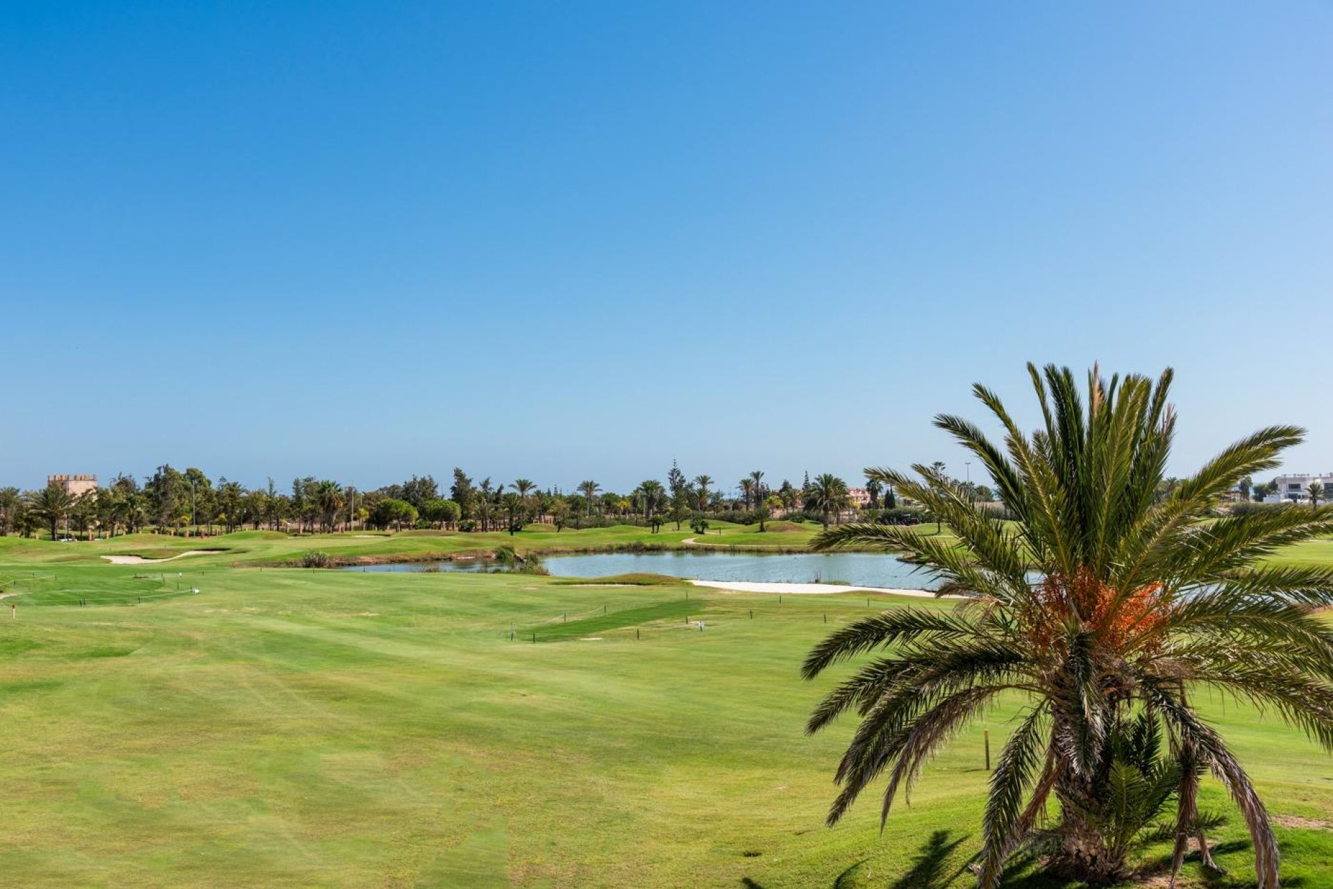 Obra nueva - Villa - Los Alcázares - Serena Golf