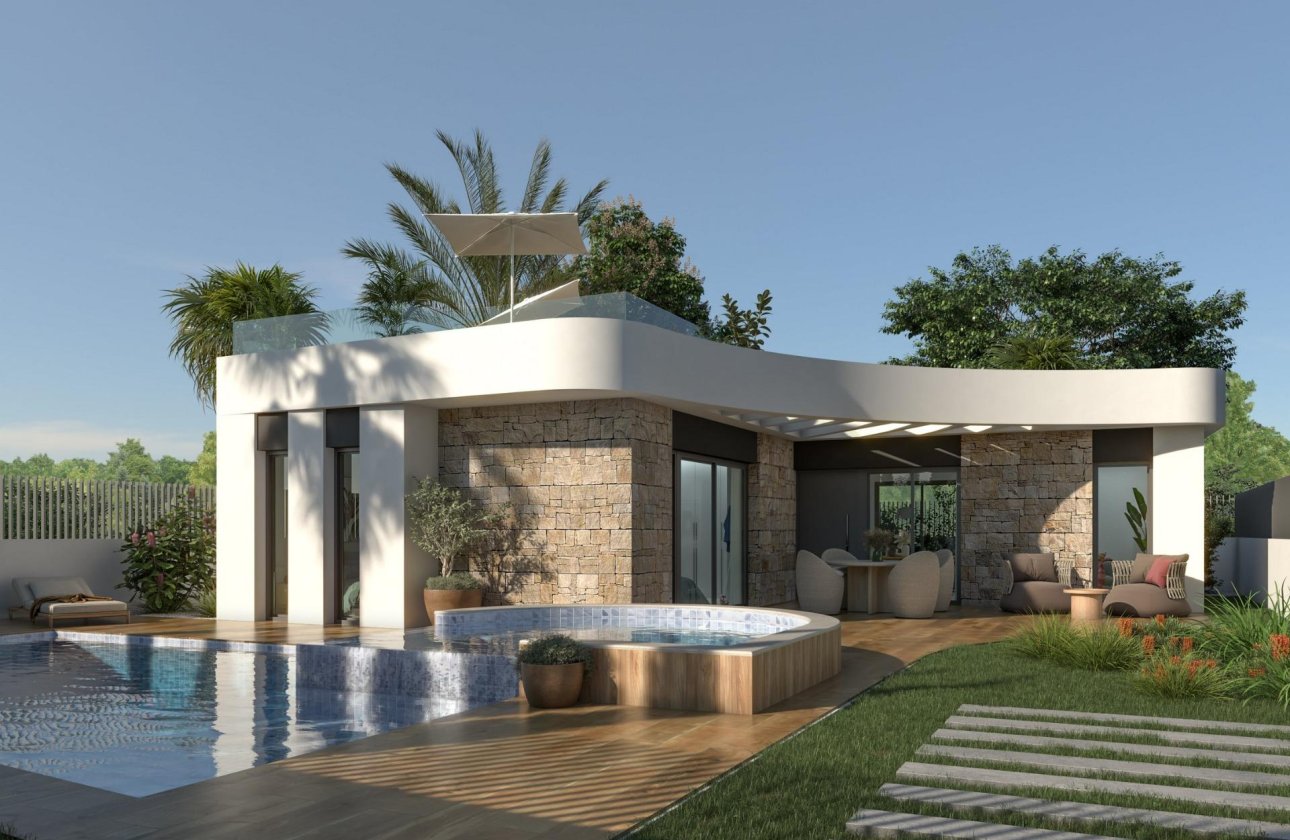 Obra nueva - Villa - Los Montesinos - La herrada
