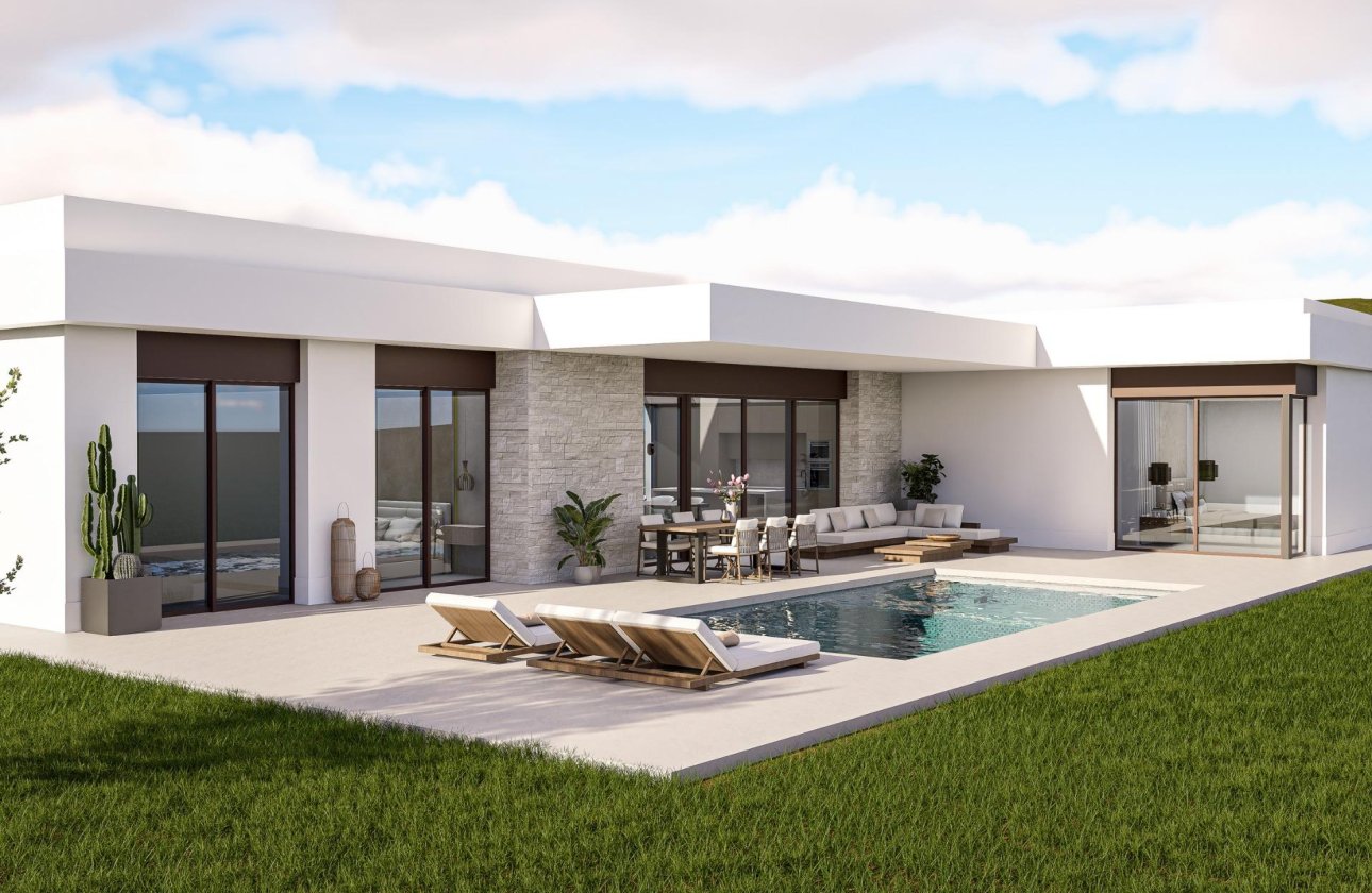 Obra nueva - Villa - Pinoso - Lel