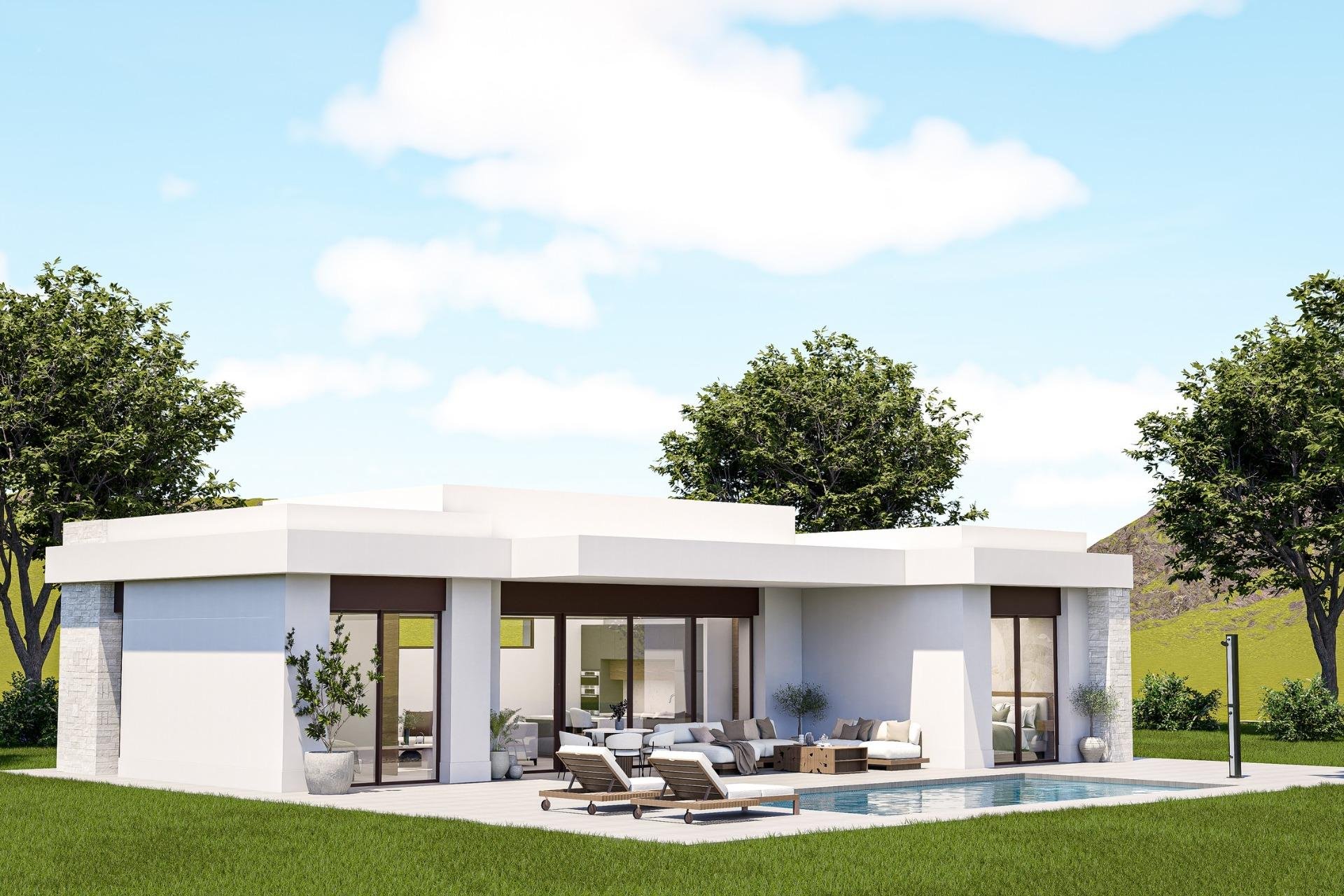 Obra nueva - Villa - Pinoso - Lel
