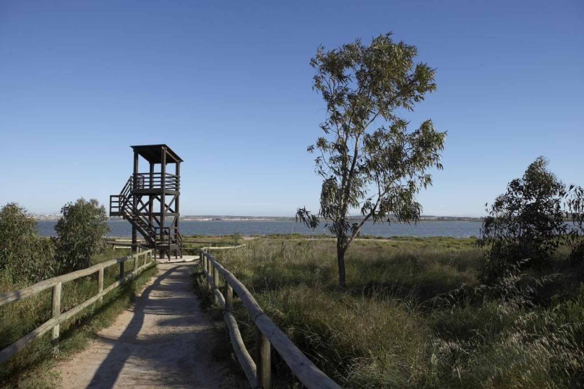 Obra nueva - Villa - Torrevieja