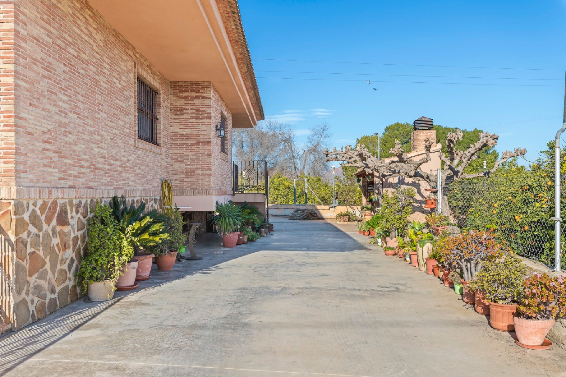 Перепродажа - Finca - Beniel - Carretera de Beniel