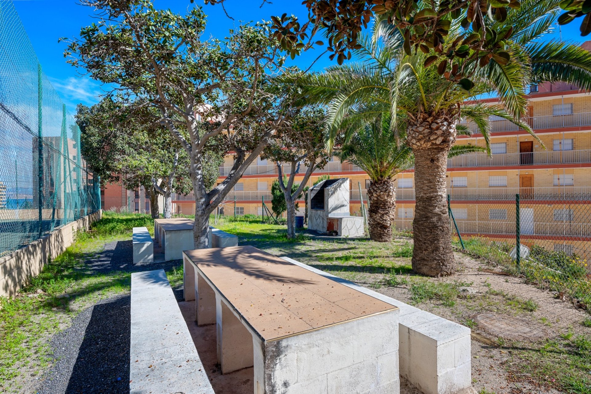 Resale - Apartment  - Arenales del Sol - Segunda linea playa