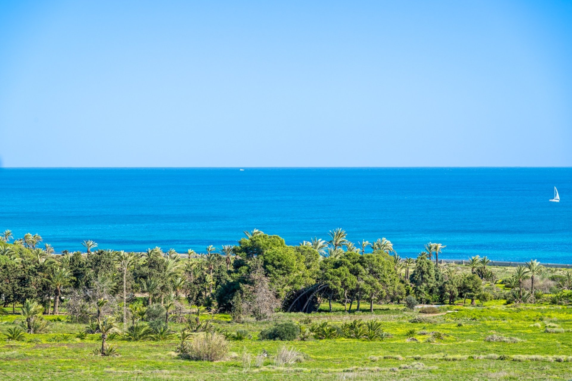 Resale - Apartment  - Orihuela Costa - Punta Prima