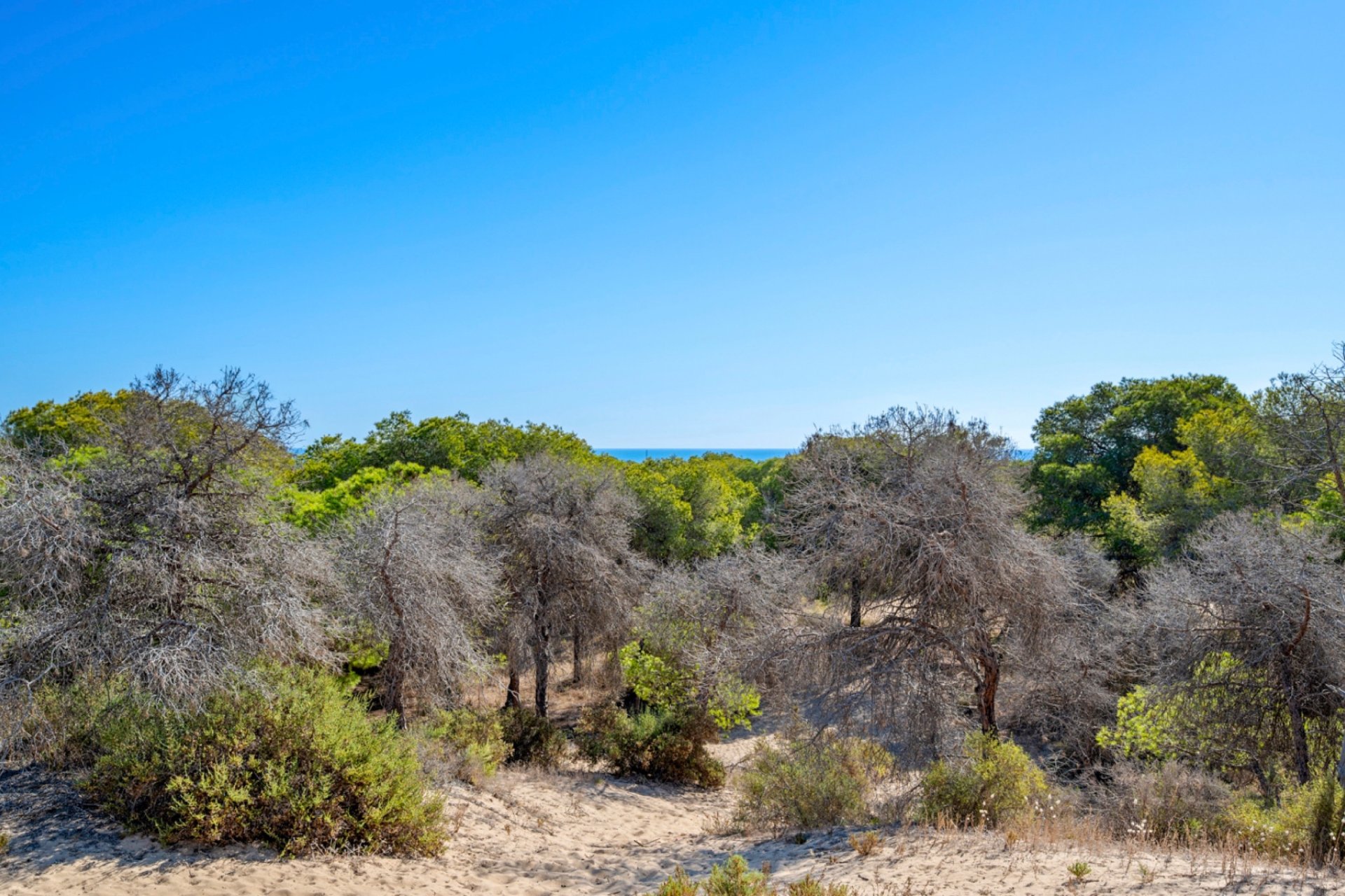 Reventa - Apartamento  - Guardamar del Segura - Guardamar