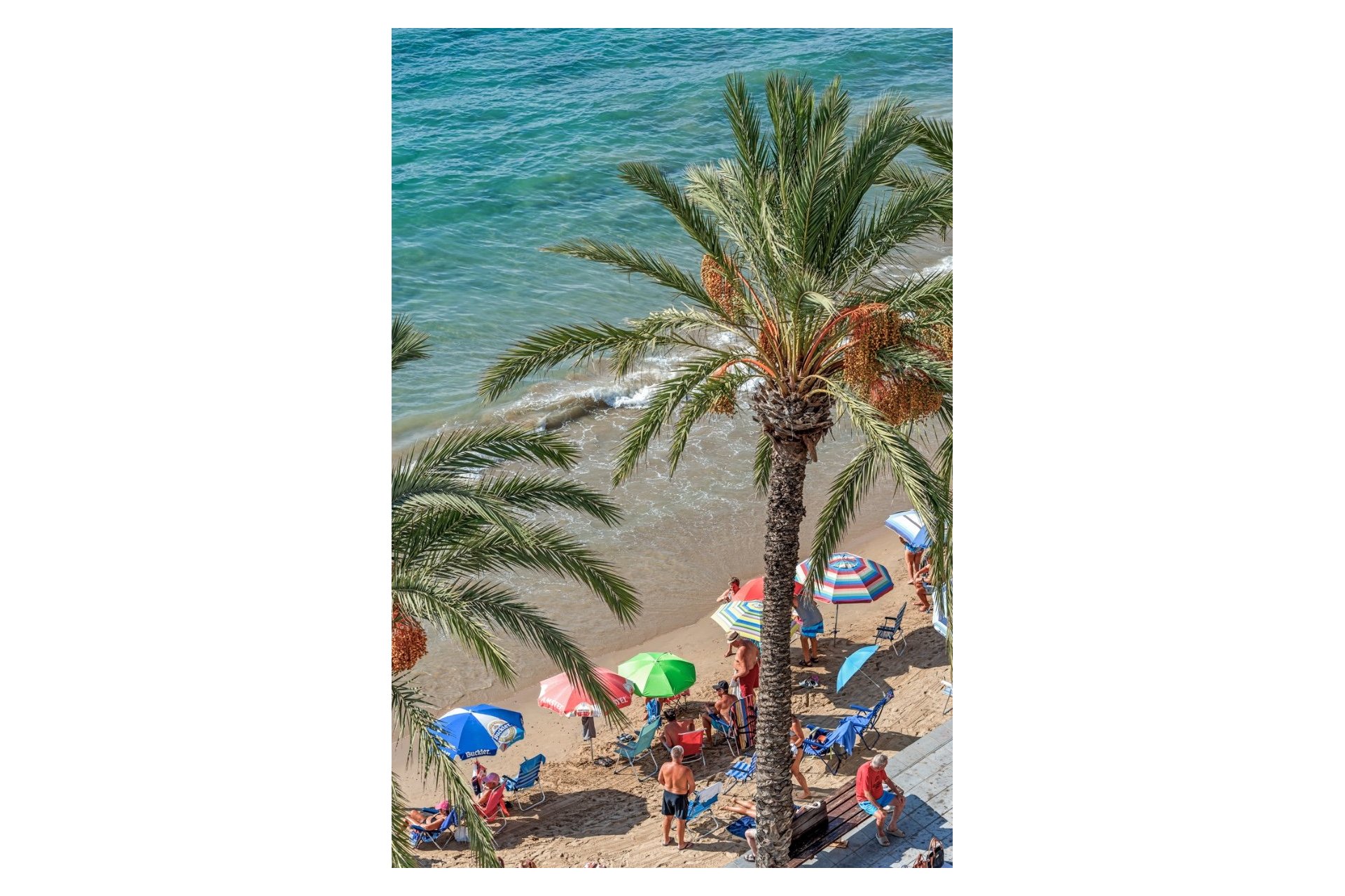 Reventa - Apartamento  - Torrevieja