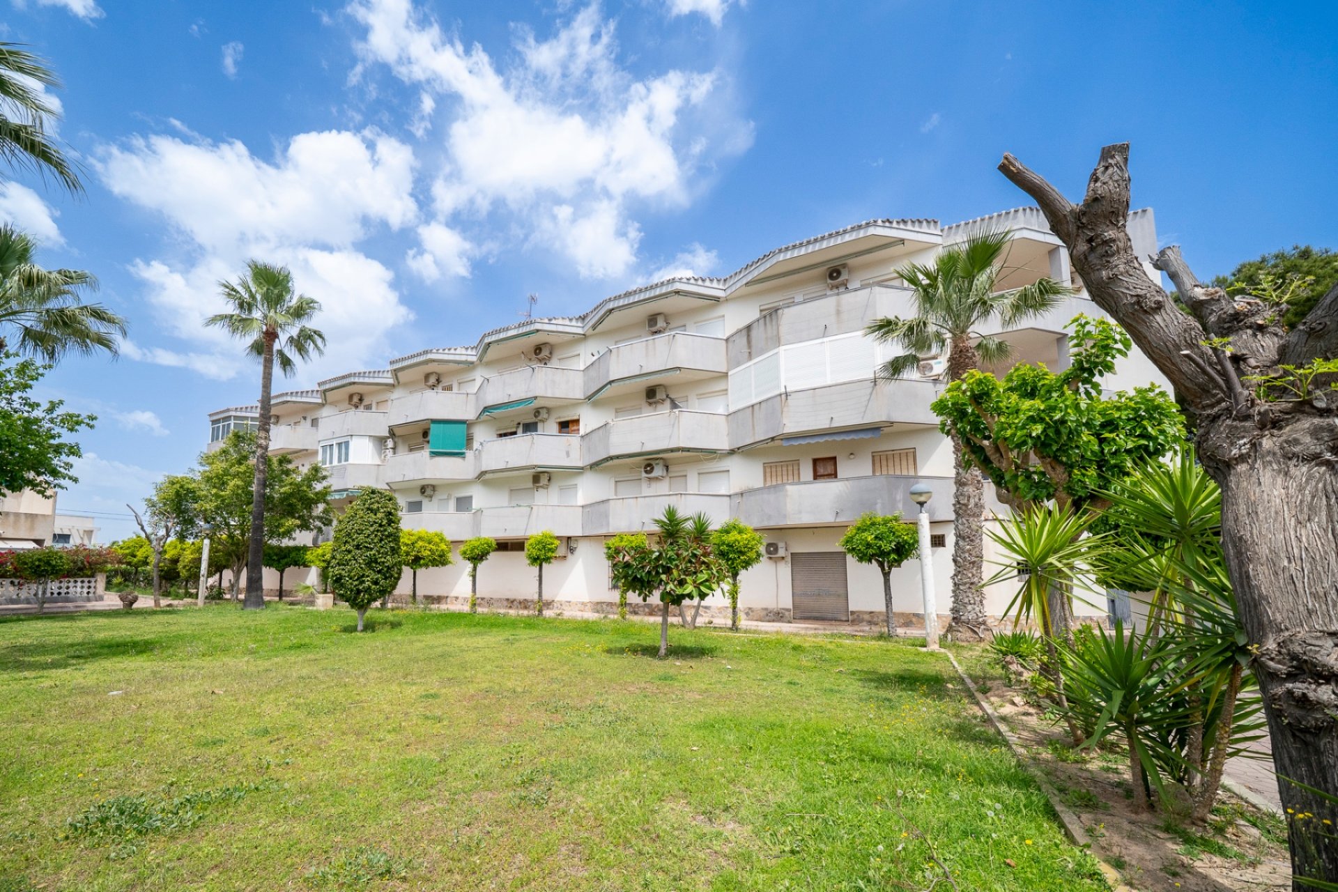Revente - Appartement - Orihuela Costa - Cabo Roig