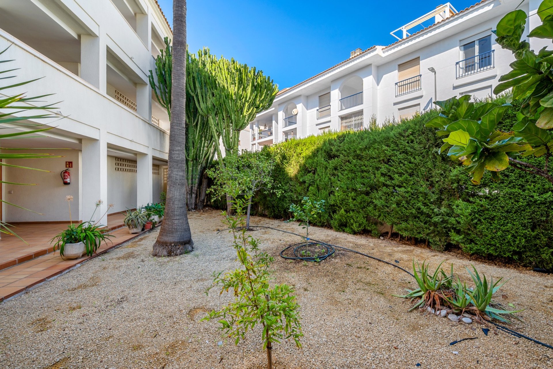 Újraértékesítés - Apartman - Altea