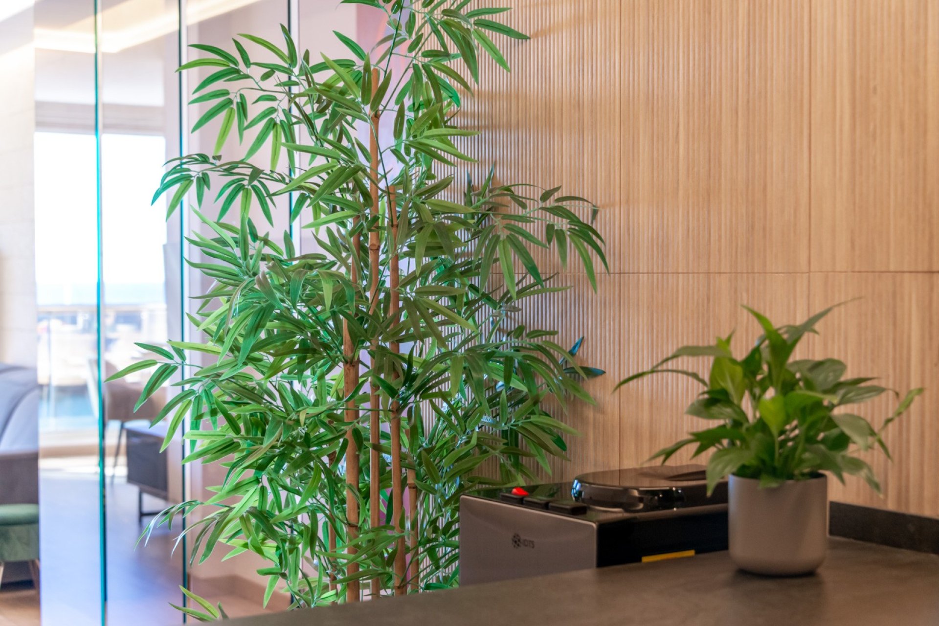 Újraértékesítés - Apartman - Altea