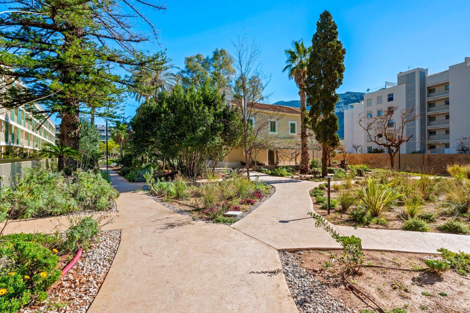 Újraértékesítés - Apartman - Denia - Puerto